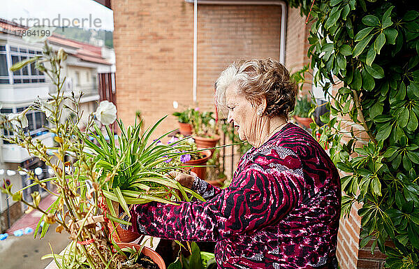 Ältere Frau kümmert sich um Pflanzen in ihrem Haus
