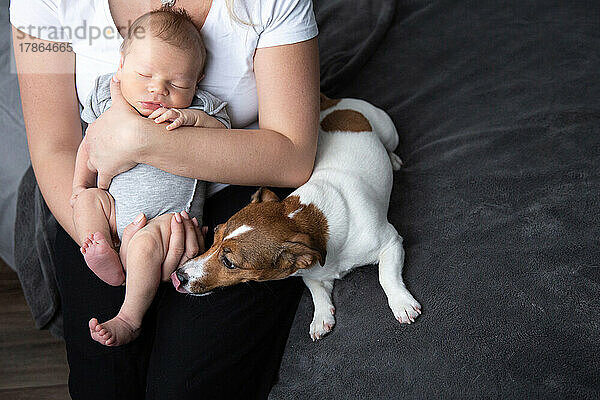 Ein Hund trifft auf ein Neugeborenes  das in den Armen seiner Mutter schläft