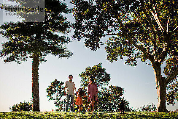 Dreiköpfige Familie posiert mit Hund unter Bäumen bei Sonnenuntergang in San Diego