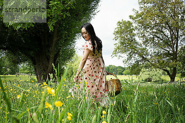 Schöne asiatische Frau  die im Sommer einen Picknickkorb auf einem Feld trägt