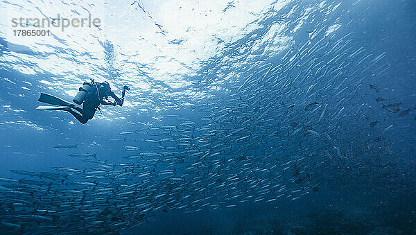 Unterwasserfotograf beim Tauchen in der Andamanensee