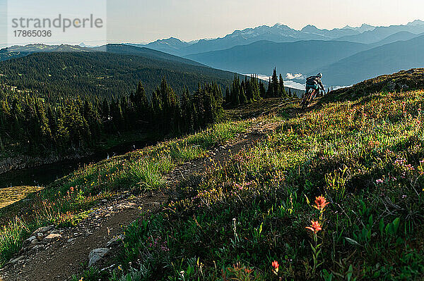 Mountainbiken durch die Almwiesen von British Columbia