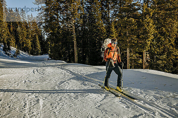 Mann fährt auf schneebedecktem Winterweg im Crater-Lake-Nationalpark Ski