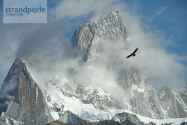 Ein Kondor umkreist Fitzroy  während er aufgrund seiner Masse Wolken erzeugt