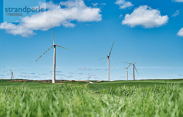 Windmühlen in einem Windpark erzeugen eine alternative Energiequelle