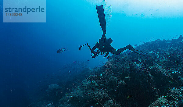 Unterwasserfotograf beim Tauchen am Tubbataha Reef