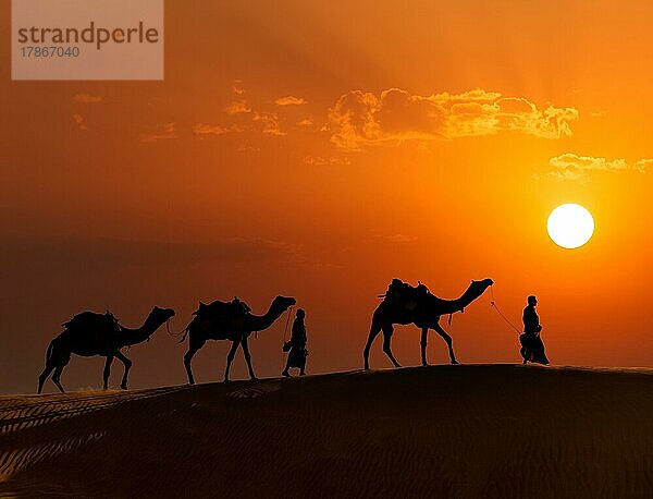 Rajasthan Reise Hintergrund  zwei indische Kamele (Kameltreiber) mit Kamelen Silhouetten in den Dünen der Wüste Thar bei Sonnenuntergang. Jaisalmer  Rajasthan  Indien  Asien