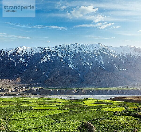 Spiti-Tal  schneebedecktes Himalaya-Gebirge. Himachal Pradesh  Indien  Asien