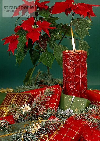 Brennende Kerze mit Weihnachtsstern  Geschenke  Bescherung  Weihnachtszeit  Advent  Burning candle with poinsettia  presents  distribution of presents  yule tide