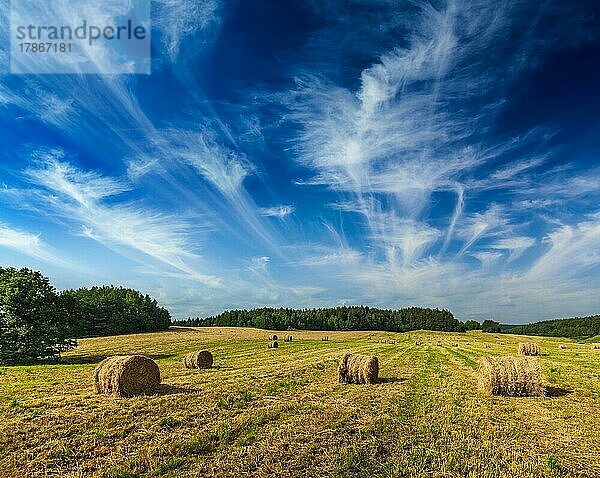 Landwirtschaftlicher Hintergrund  Heuballen auf einem Feld im Sommer