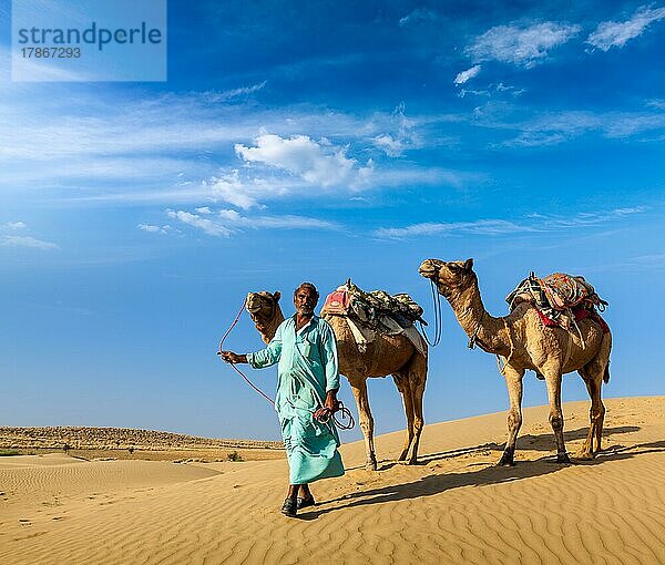 Rajasthan Reisehintergrund  indischer Kameltreiber mit Kamelen in den Dünen der Wüste Thar. Jaisalmer  Rajasthan  Indien  Asien