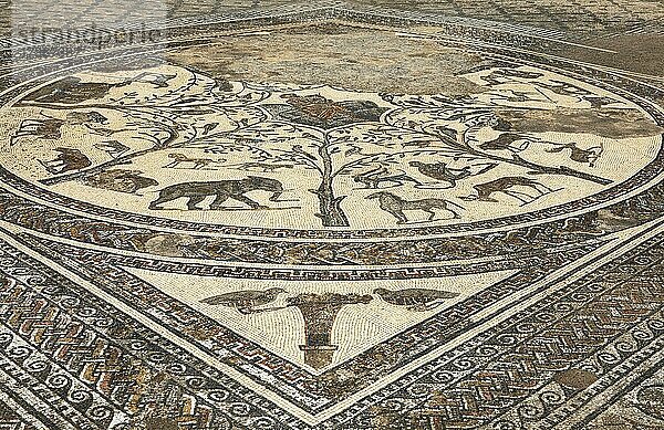 Römisches Mosaik  archäologische Stätte  Volubilis  UNESCO Weltkulturerbe  bei Meknes  Marokko  Afrika