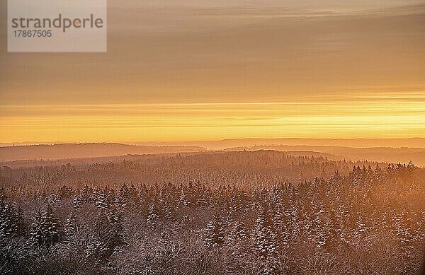 Landschaftsaufnahme des schneebedeckten Schwarzwaldes im goldenen Sonnenaufgang  Schwarzwald  Deutschland  Europa