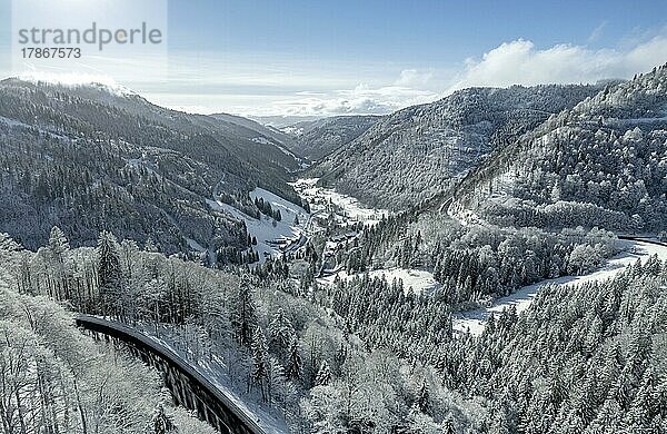 Luftbild einer Winterlandschaft in den Bergen  Feldberg  Schwarzwald  Deutschland  Europa