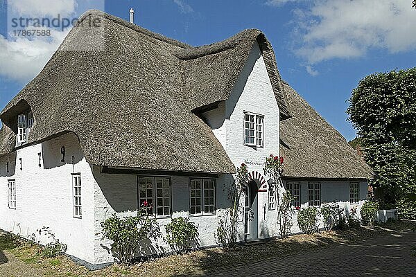 Reetdachhaus  Nieblum  Insel Föhr  Nordfriesland  Schleswig-Holstein  Deutschland  Europa