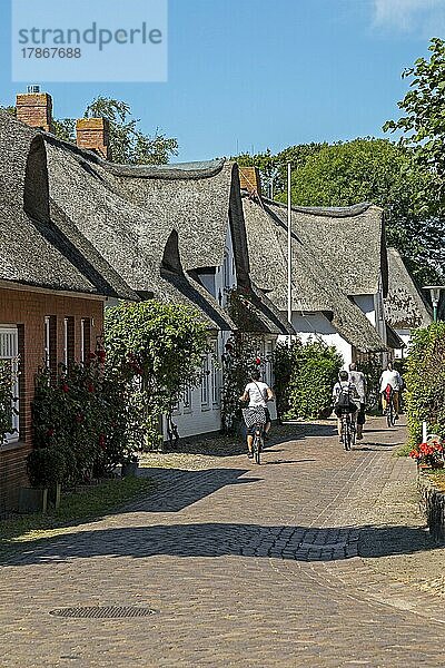 Reetdachhäuser  Nieblum  Insel Föhr  Nordfriesland  Schleswig-Holstein  Deutschland  Europa