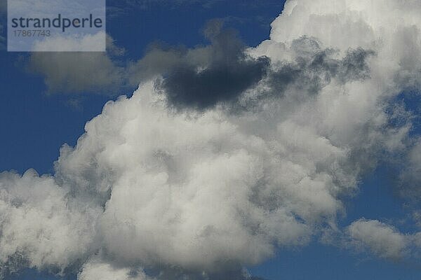 Natur  bewölkter Himmel  Provinz Quebec  Kanada  Nordamerika