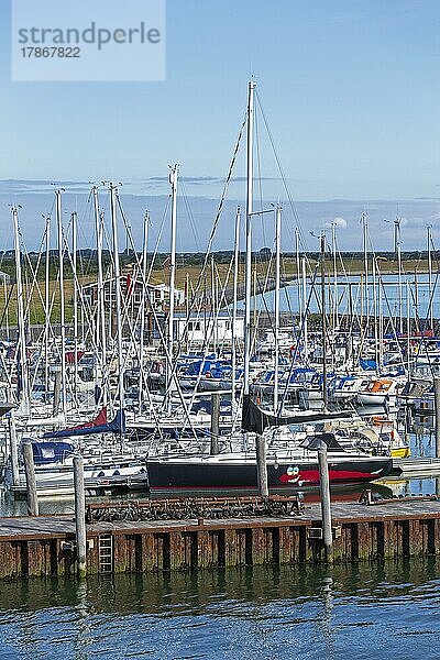 Yachthafen  Wyk  Insel Föhr  Nordfriesland  Schleswig-Holstein  Deutschland  Europa