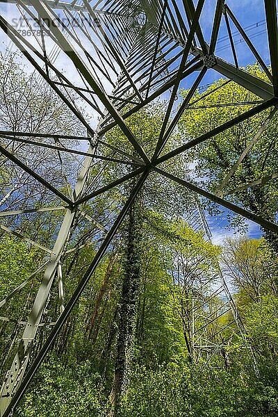 Hochspannungsmast  Strommast im Wald  Symbolfoto  Mühlheim am Main  Hessen  Deutschland  Europa