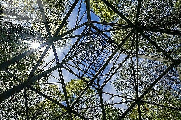Hochspannungsmast  Strommast im Wald  Symbolfoto  Mühlheim am Main  Hessen  Deutschland  Europa