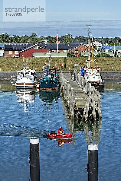 Fischerboote  Hafen  Wyk  Insel Föhr  Nordfriesland  Schleswig-Holstein  Deutschland  Europa