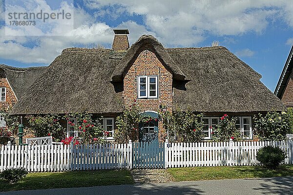 Reetdachhaus  Nieblum  Insel Föhr  Nordfriesland  Schleswig-Holstein  Deutschland  Europa