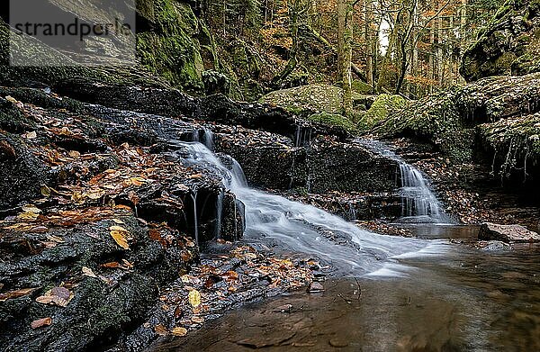 Landschaftsaufnahme eines kleinen Wasserfalls mit Steinen und Blättern im Herbst  Monbachtal  Schwarzwald  Bad Liebenzell  Detuschland
