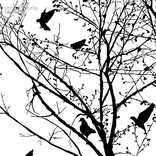 Hintergrund-Illustration mit Tauben Silhouetten in den Bäumen  Vektor