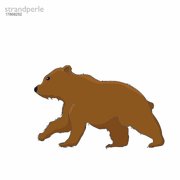 Niedliche kleine Bärenjunge Vektor-Cartoon über weißem Hintergrund
