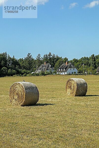 Strohballen  Reetdachhäuser  Nieblum  Insel Föhr  Nordfriesland  Schleswig-Holstein  Deutschland  Europa