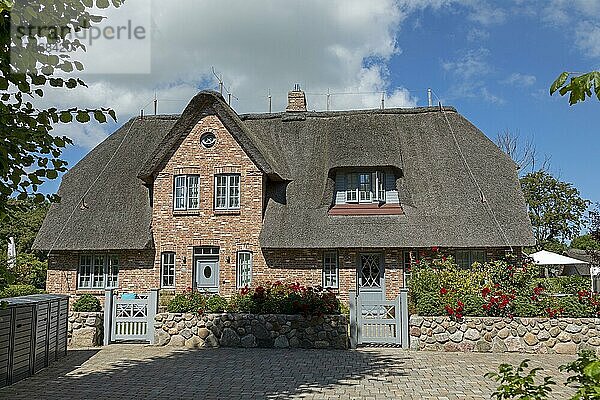 Reetdachhaus  Nieblum  Insel Föhr  Nordfriesland  Schleswig-Holstein  Deutschland  Europa