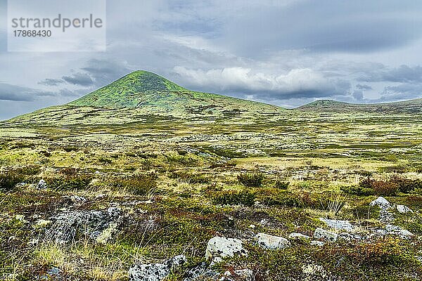 Nationalpark Rondane  Provinz Innlandet  Norwegen  Europa