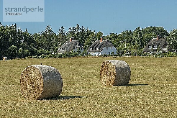 Strohballen  Reetdachhäuser  Nieblum  Insel Föhr  Nordfriesland  Schleswig-Holstein  Deutschland  Europa