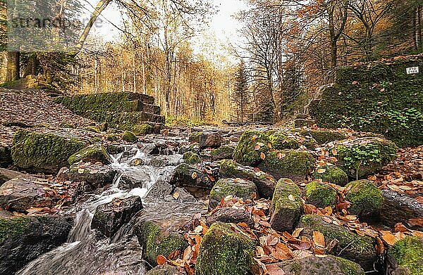 Landschaftsaufnahme eines kleinen Baches mit Steinen und Blättern im Herbst  Monbachtal  Schwarzwald  Bad Liebenzell  Detuschland
