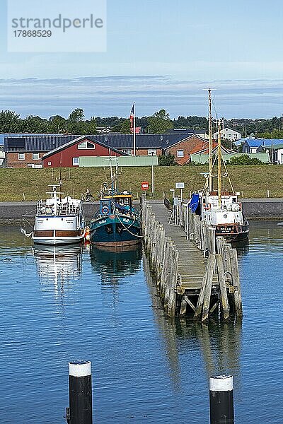 Fischerboote  Hafen  Wyk  Insel Föhr  Nordfriesland  Schleswig-Holstein  Deutschland  Europa