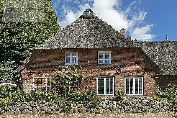 Reetdachhaus  Nieblum  Insel Föhr  Nordfriesland  Schleswig-Holstein  Deutschland  Europa