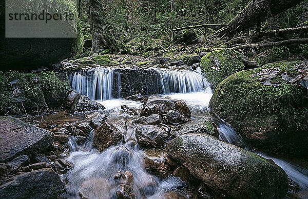 Langzeitbelichtung eines kleinen Wasserfalls im Wald  Monbachtal  Bad Liebenzell  Schwarzwald  Deutschland  Europa