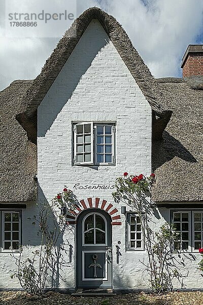 Reetdachhaus  Nieblum  Insel Föhr  Nordfriesland  Schleswig-Holstein  Deutschland  Europa