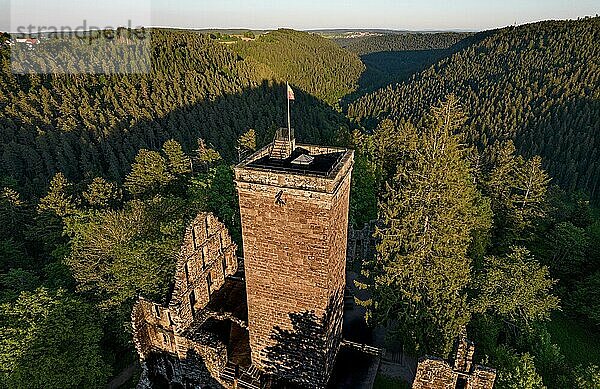 Landschaftsaufnahme der Burg Zavelstein umgeben von Wald am Abend  Schwarzwald  Deutschland  Europa