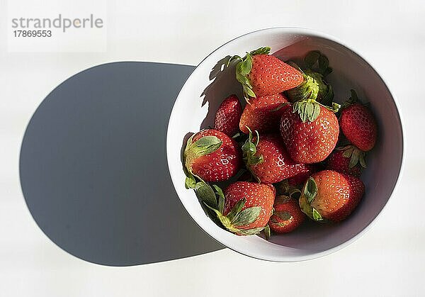 Draufsicht auf frische Erdbeeren in einer weißen Schale vor weißem Hintergrund