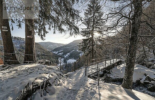 Winterlandschaft im Wald mit Brücke  Todtnau  Schwarzwald  Deutschland  Europa