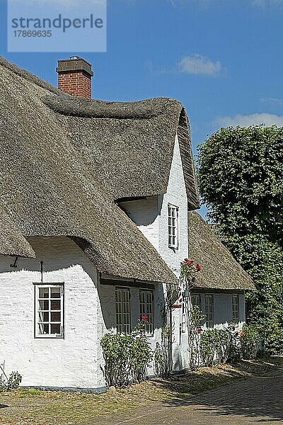 Reetdachhaus  Nieblum  Insel Föhr  Nordfriesland  Schleswig-Holstein  Deutschland  Europa