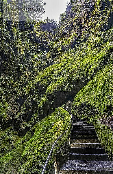 Innen im Vulkan-Schlot Algar do carvao Azoren Terceira Portugal