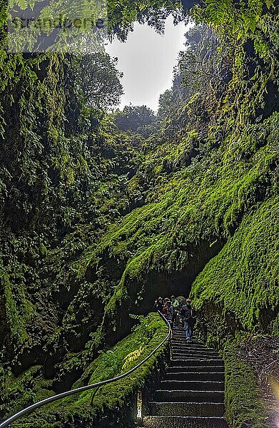 Innen im Vulkan-Schlot Algar do carvao Azoren Terceira Portugal