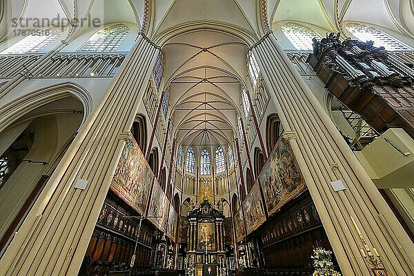 Kathedrale St. Salvator  Innenraum  Brügge  Belgien  Europa