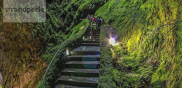 Innen im Vulkan-Schlot Algar do carvao Azoren Terceira Portugal