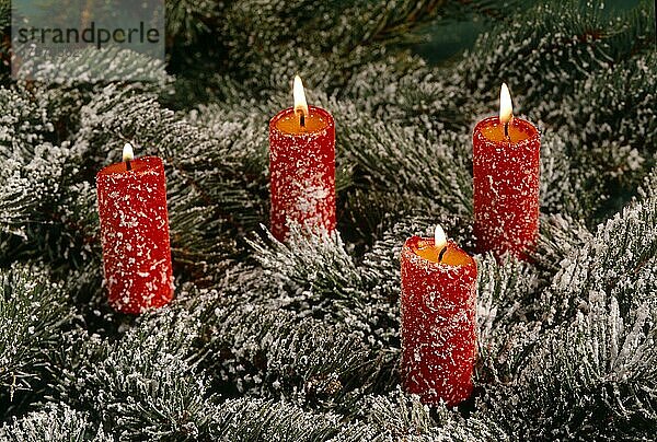 Adventskranz mit 4 vier brennenden Kerzen  Weihnachtszeit  Advent  Advent wreath with 4 four burning candles  yule tide