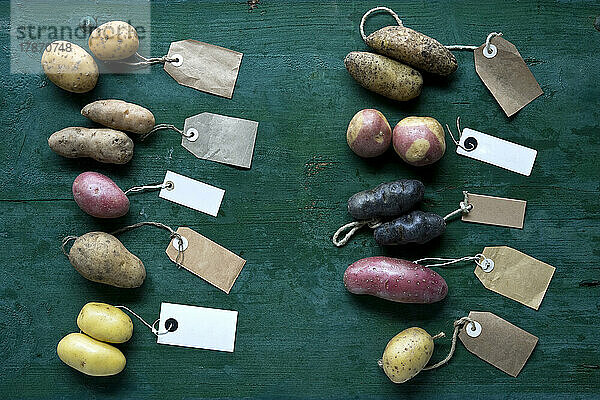 Studioaufnahme verschiedener Sorten etikettierter Kartoffeln  flach gelegt vor grünem Hintergrund