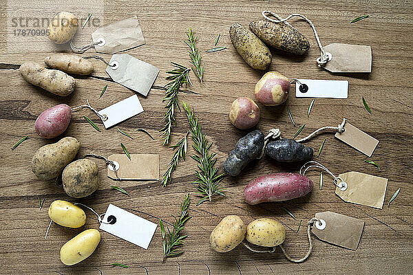 Studioaufnahme verschiedener Sorten etikettierter Kartoffeln  flach vor Holzhintergrund gelegt