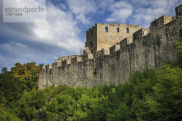 Slowenien  Savinja  Celje  Festungsmauer der Burg Celje